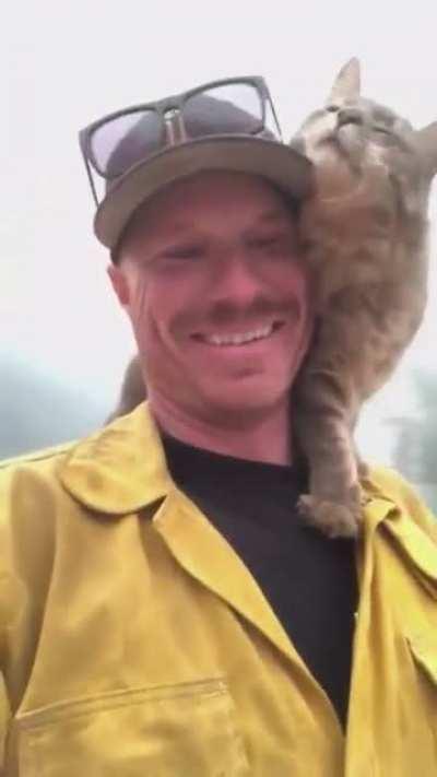 Wild cat thanks a firefighter for saving him from a fire...