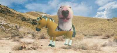 Doge gets sucked (ayo???)