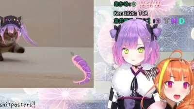 Towa was successfully brainwashed by Coco and said TMT