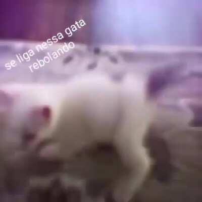 😎😎😎😎😎😎