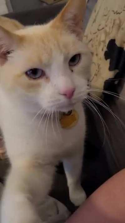 Josè is displeased with the level of attention he's receiving from his co-worker