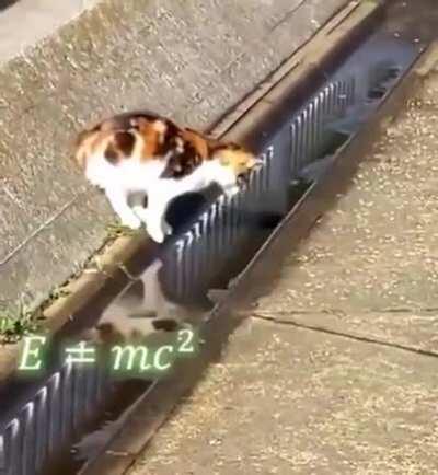 Thinking 💆‍♀️