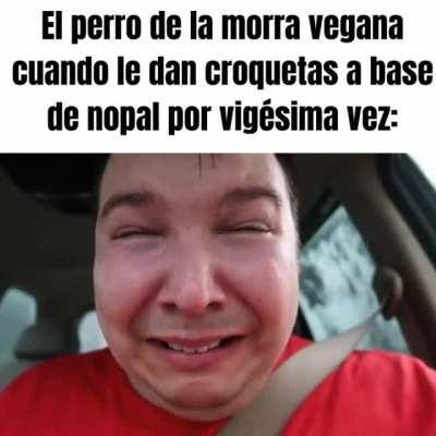 Recuerden, los perros no son veganos, son animales y punto final