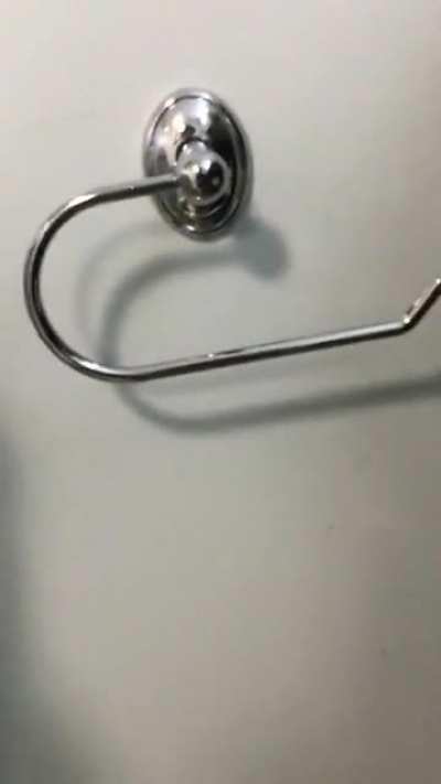 Here's me changing the toilet paper roll