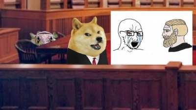 Day 15 of posting my entire camera roll