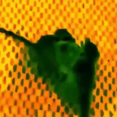 pharmakokinetics testing the newcrue combat cocktail