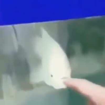 Gracias por el apoyo de likes, empece ayer y por ahora me gusta reddit gracias