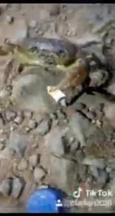 Darío??? Que eres padre de familia cuídate amigo.