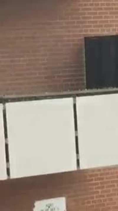 Who pissed off this turkey?