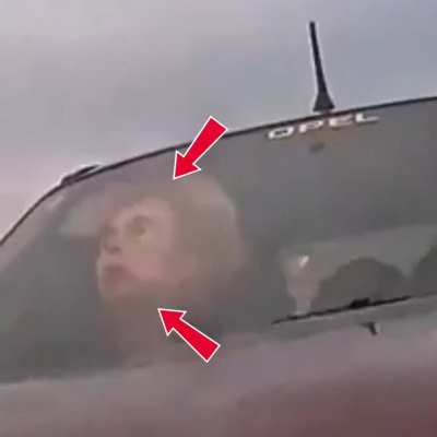 She chose not to wear seat belts