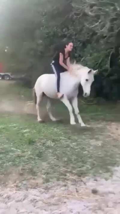 Feeding the horses while your daughter is on it