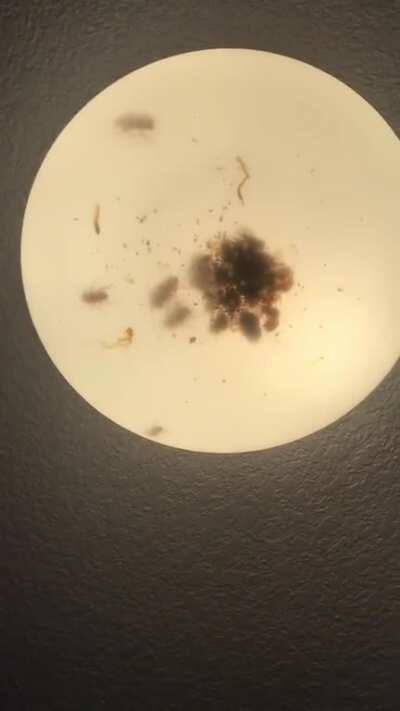 The light in my cousin’s bathroom.