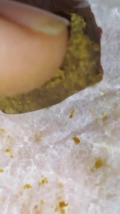 🧱CONCRETE FARMS STATIC🧱