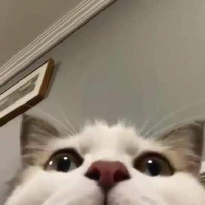 Almost done guys, Stay strong the last 2 days.