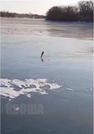 Living in 2077 physics