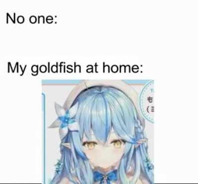 Goldfish be like: