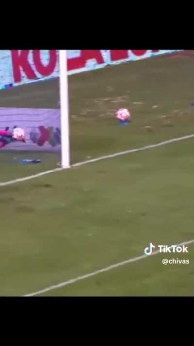 Golaaassso de Bryan La Cotorra Gonzalez