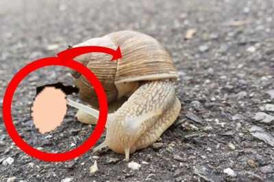 Rain world in real life!!!1!!1