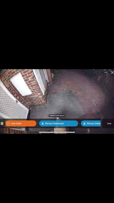 Thief getting dragged