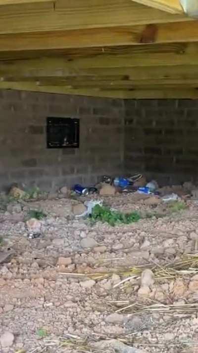 Home Inspection of brand new $500k+ house