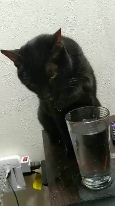 He's a dipper, not a sipper.