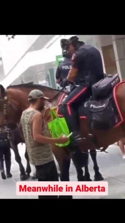 Mmmmh police horse urine 