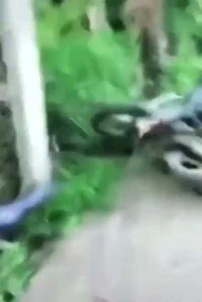 Found this and wanted to give it a home where it'll be properly appreciated!