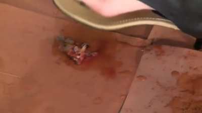 She made the fish disappear with the power of her flat thong sandals