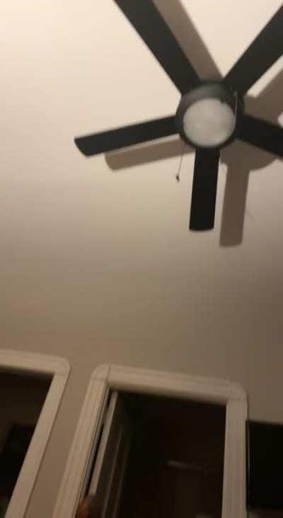 Greebles in the Attic