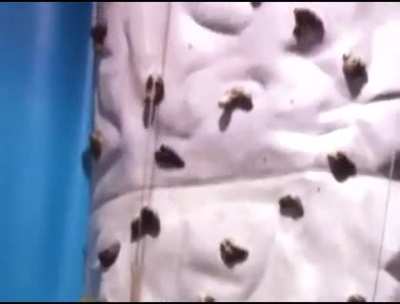 What arcade game music is this