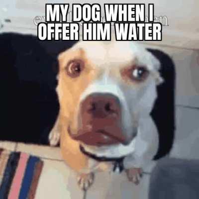 He's been nippy lately