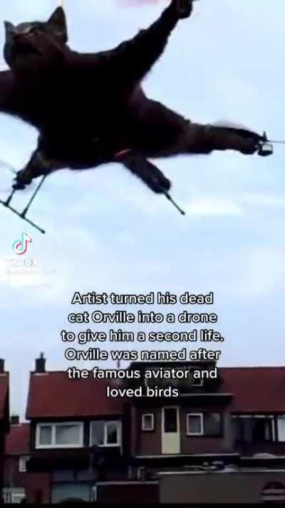 Orville, Menace of the Skies, Terrified of Livestock, Sin against the Lord