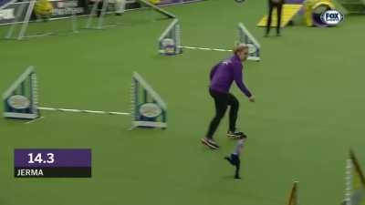 What spectacle to watch