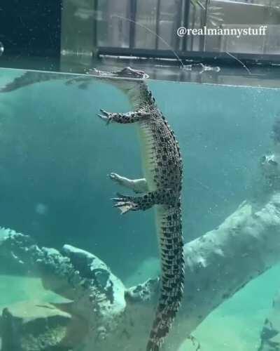 How...why... this is just unnerving to me...