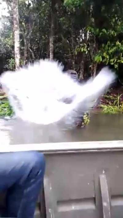 Sorry I didn't mean to , bye!!