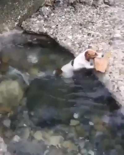 Look at what I caught!