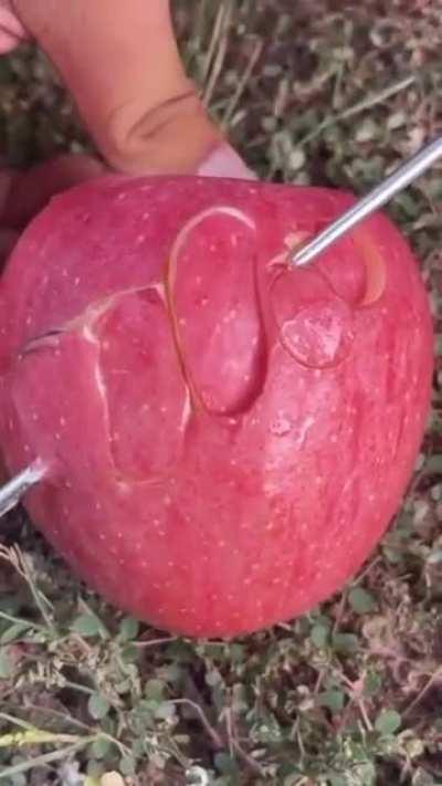 I don't know why, but it makes the apple look tastier, even though is the same as any other.