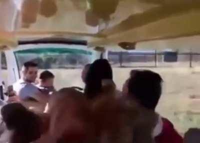 Lion brutally murders a bus of people