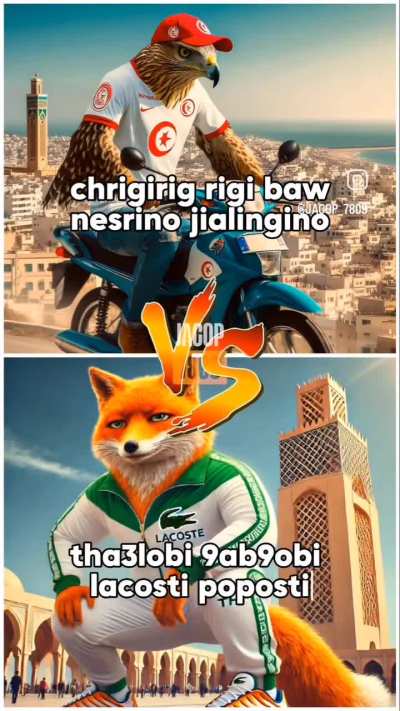 🇹🇳 VS 🇩🇿