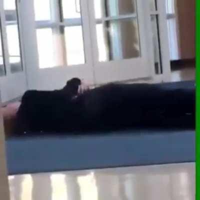 That kid got sent to another universe