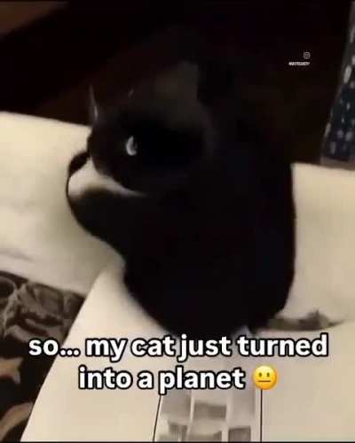 Tjvfhdykyjyu,uohsfycdt