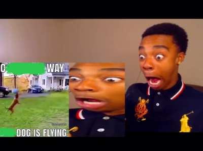 What am I doing with my life PT. 3