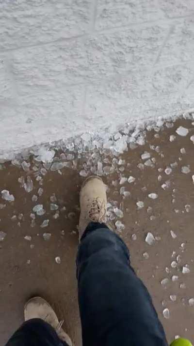 temptation was too high