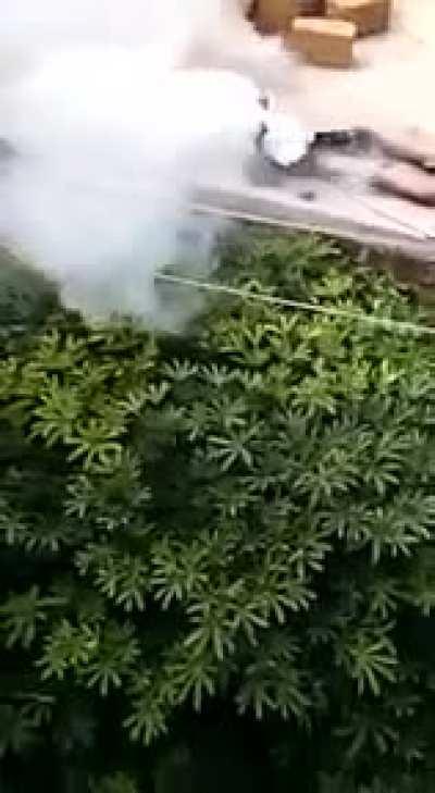 Consequences for stealing electricity