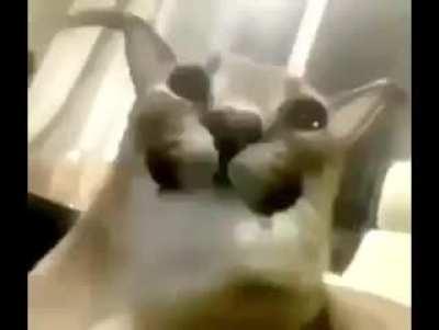 ☭Restless March - Ernst Busch☭