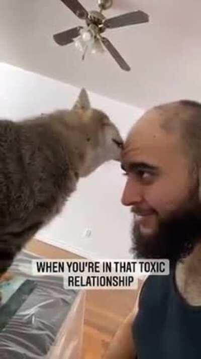 The cat shocked his master...