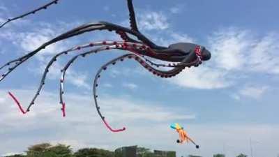 This Giant Octopus Kite