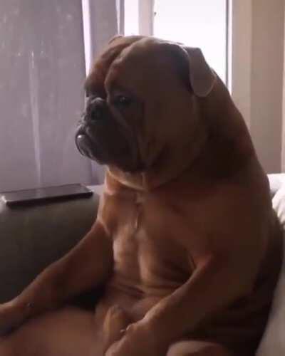 “Seriously man, why are we still watching this?”