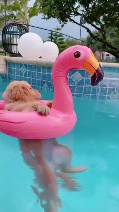 When you are in vacation ❤️