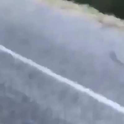 Yeet on back from once you came!